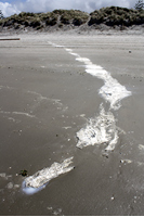 Rena Oil Spill Disaster, Tauranga, NZ