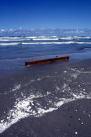 Rena Oil Spill Disaster, Tauranga, NZ