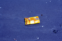 Rena Oil Spill Disaster, Tauranga, NZ
