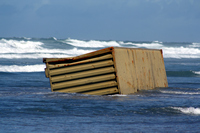 Rena Oil Spill Disaster, Tauranga, NZ