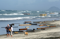 Rena Oil Spill Disaster, Tauranga, NZ