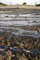 Rena Oil Spill Disaster, Tauranga, NZ