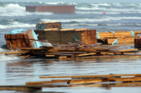 Rena Oil Spill Disaster, Tauranga, NZ
