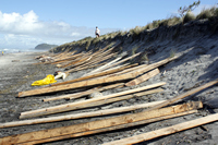 Rena Oil Spill Disaster, Tauranga, NZ