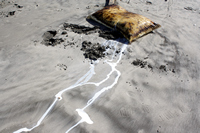 Rena Oil Spill Disaster, Tauranga, NZ