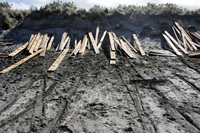 Rena Oil Spill Disaster, Tauranga, NZ