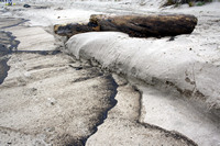 Rena Oil Spill Disaster, Tauranga, NZ
