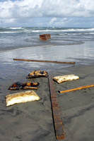 Rena Oil Spill Disaster, Tauranga, NZ