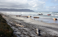 Rena Oil Spill Disaster, Tauranga, NZ