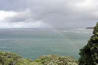Rena Oil Spill Disaster, Tauranga, NZ