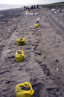 Rena Oil Spill Disaster, Tauranga, NZ