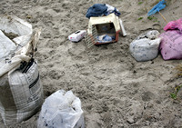 Rena Oil Spill Disaster, Tauranga, NZ