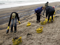 Rena Oil Spill Disaster, Tauranga, NZ