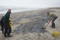 Rena Oil Spill Disaster, Tauranga, NZ