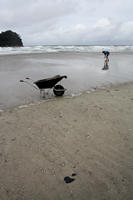 Rena Oil Spill Disaster, Tauranga, NZ