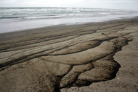 Rena Oil Spill Disaster, Tauranga, NZ