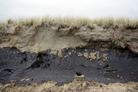 Rena Oil Spill Disaster, Tauranga, NZ