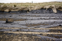 Rena Oil Spill Disaster, Tauranga, NZ