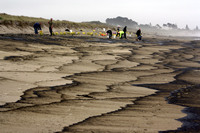 Rena Oil Spill Disaster, Tauranga, NZ
