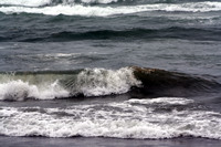 Rena Oil Spill Disaster, Tauranga, NZ