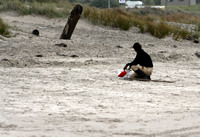 Rena Oil Spill Disaster, Tauranga, NZ