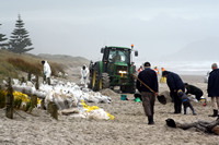 Rena Oil Spill Disaster, Tauranga, NZ
