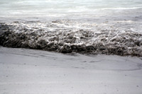 Rena Oil Spill Disaster, Tauranga, NZ
