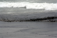 Rena Oil Spill Disaster, Tauranga, NZ