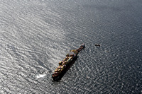 Rena Oil Spill Disaster, Tauranga, NZ