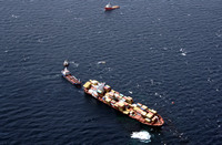 Rena Oil Spill Disaster, Tauranga, NZ