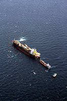 Rena Oil Spill Disaster, Tauranga, NZ