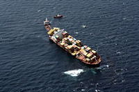 Rena Oil Spill Disaster, Tauranga, NZ