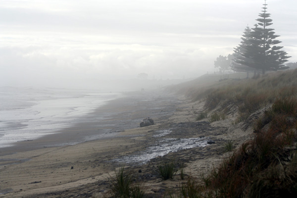 Rena Disaster, Oil Spill, Tauranga, New Zealand