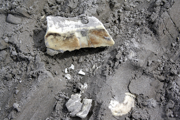 Rena Disaster, Oil Spill, Tauranga, New Zealand