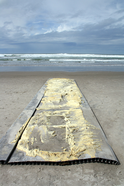 Rena Disaster, Oil Spill, Tauranga, New Zealand