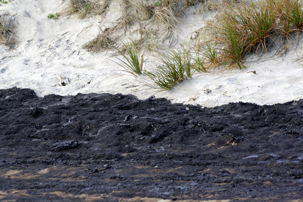 Rena Disaster, Oil Spill, Tauranga, New Zealand