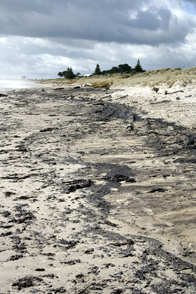 Rena Disaster, Oil Spill, Tauranga, New Zealand