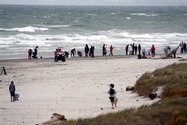 Rena Disaster, Oil Spill, Tauranga, New Zealand