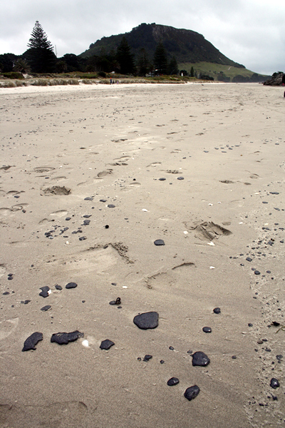 Rena Disaster, Oil Spill, Tauranga, New Zealand