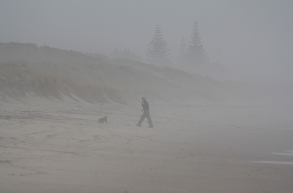 Rena Disaster, Oil Spill, Tauranga, New Zealand