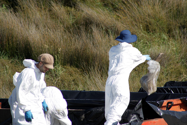 Rena Disaster, Oil Spill, Tauranga, New Zealand