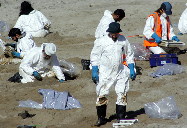 Rena Disaster, Oil Spill, Tauranga, New Zealand