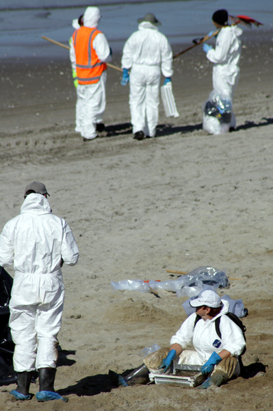 Rena Disaster, Oil Spill, Tauranga, New Zealand