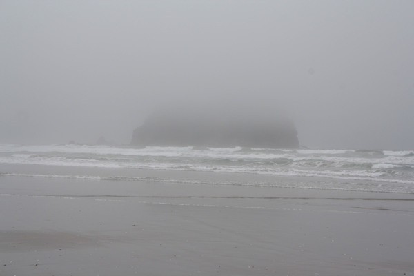 Rena Disaster, Oil Spill, Tauranga, New Zealand