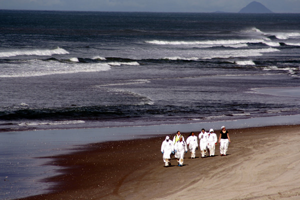 Rena Disaster, Oil Spill, Tauranga, New Zealand