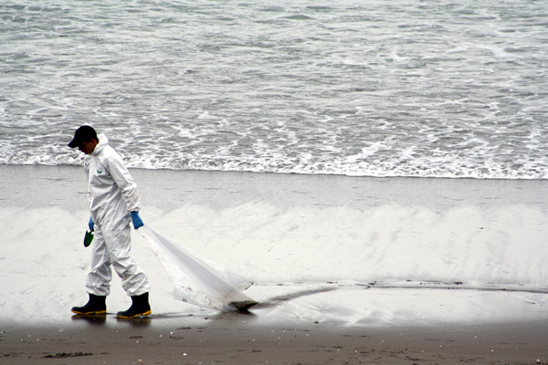 Rena Disaster, Oil Spill, Tauranga, New Zealand