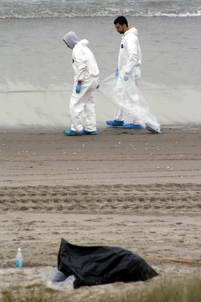 Rena Disaster, Oil Spill, Tauranga, New Zealand