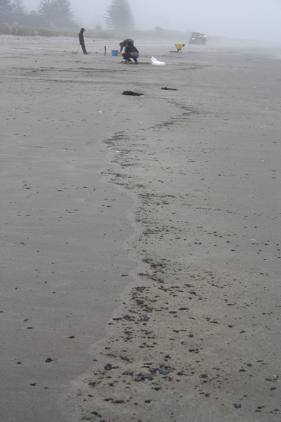 Rena Disaster, Oil Spill, Tauranga, New Zealand