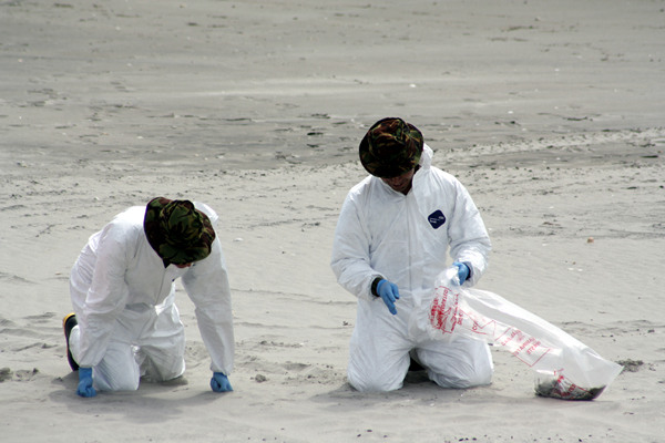 Rena Disaster, Oil Spill, Tauranga, New Zealand