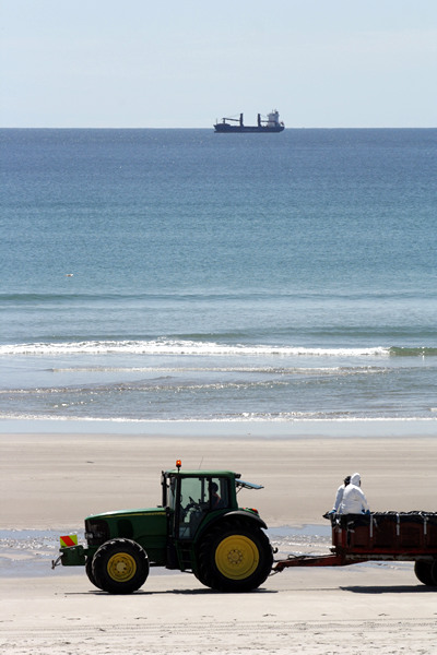 Rena Disaster, Oil Spill, Tauranga, New Zealand